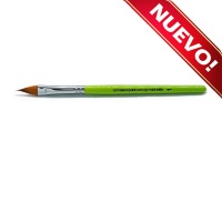 /cameleon/newCAMBMICH1