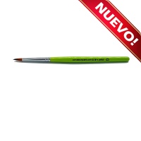 /cameleon/newCAMBPET0