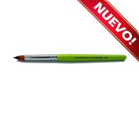 /cameleon/newCAMBPET2