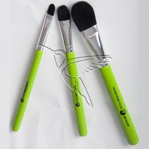 /cameleon/CAMBFILSET