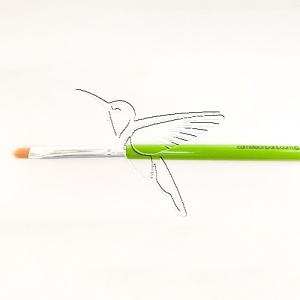 /cameleon/CAMBTRY